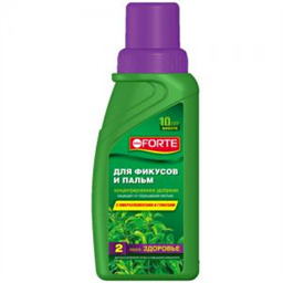 Здоровье для Фикусов и пальм