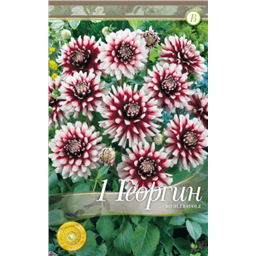 Зидлерштольц